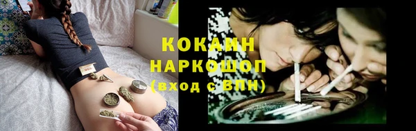 эйфоретик Майский