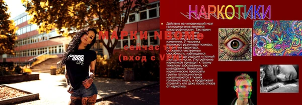 амф Магадан