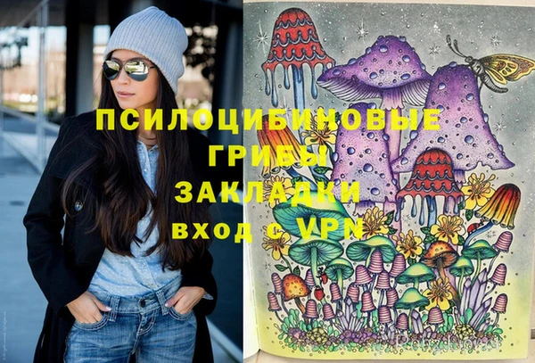 амф Магадан