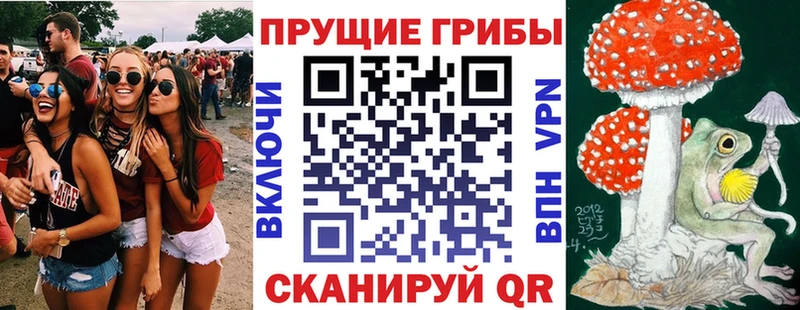 Галлюциногенные грибы GOLDEN TEACHER  Шахунья 
