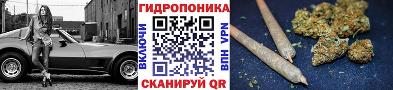 купить наркоту  Шахунья  Шишки марихуана ГИДРОПОН 